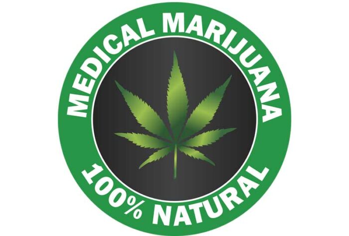 Logo mit einer Cannabispflanze für in medizinisches Marijuana investieren mit Greenelements